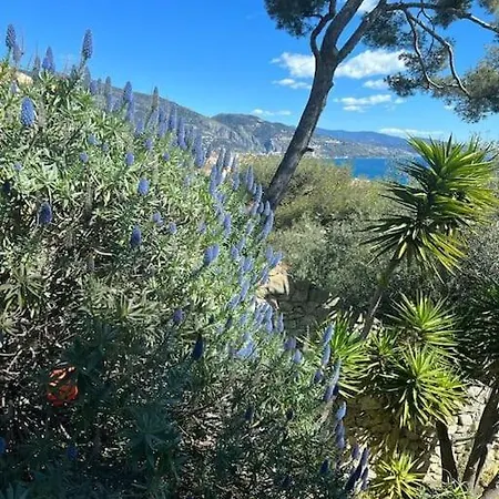 Superbe Vue Imprenable Sur La Proche Monaco شقة *